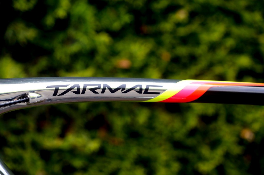 13320811_831180700317237_3045126964173031029_o