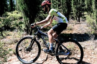 Ideal Race Pro