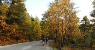 Brevet «Χαλκίδα – Βόρεια Εύβοια»