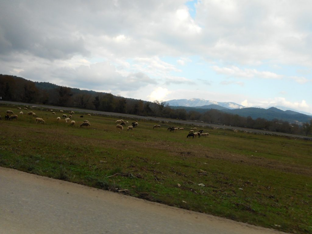 Brevet «Χαλκίδα – Βόρεια Εύβοια»