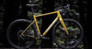 Santa Cruz Stigmata 2019