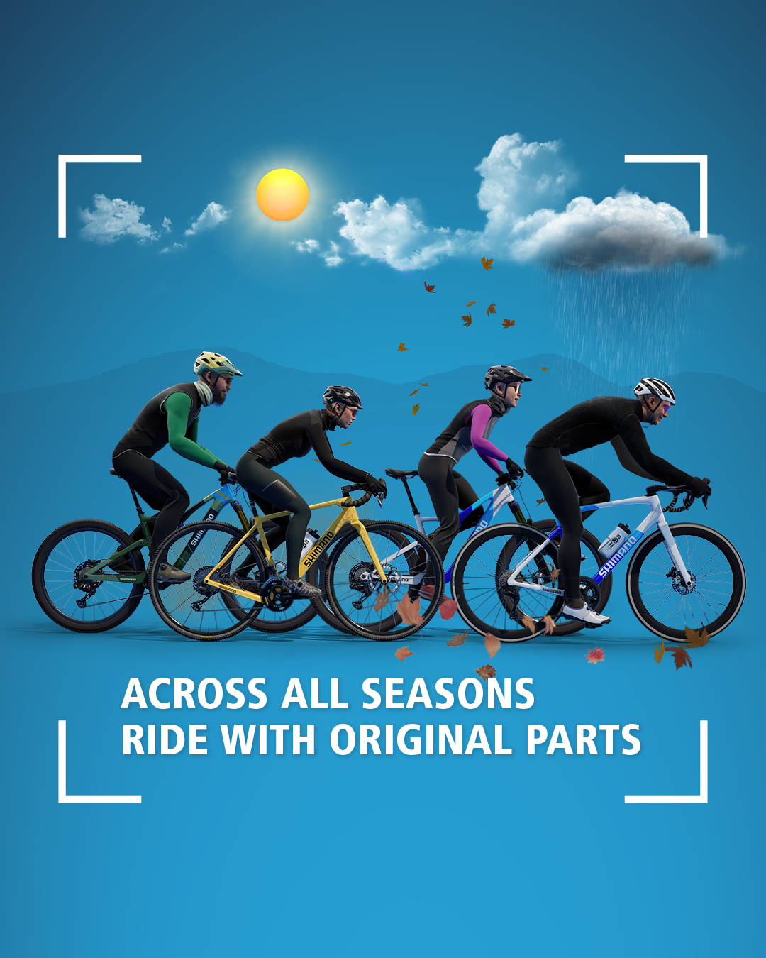 Caring for your bike Shimano