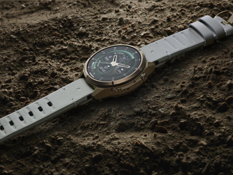 garmin fenix